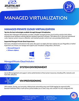 Managed Virtualization Hosting Brochure