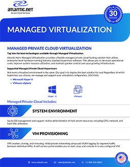 Managed Virtualization Hosting Brochure