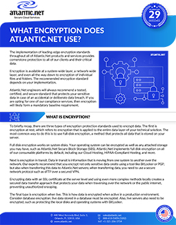 What Encryption Does Brochure