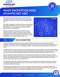 What Encryption Does Brochure