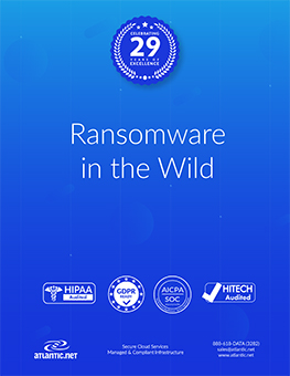 Ransomware in the Wild whitepapers