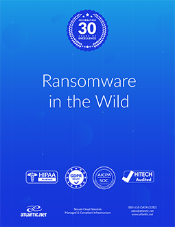 Ransomware in the Wild whitepapers