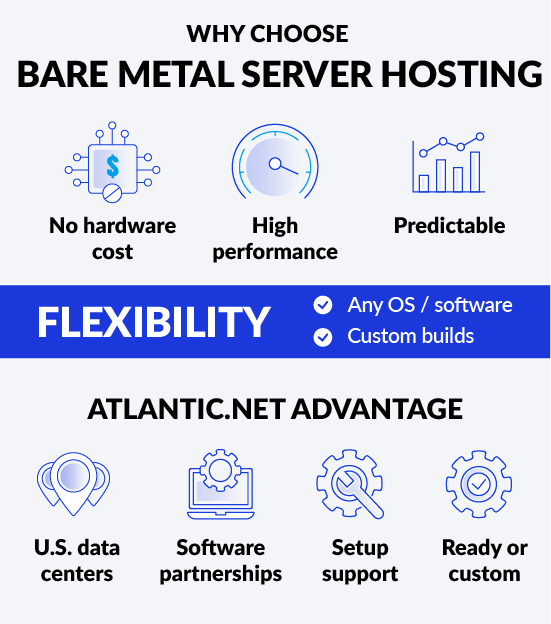 Bare Metal Server Hosting