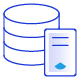 Database Hosting Icon