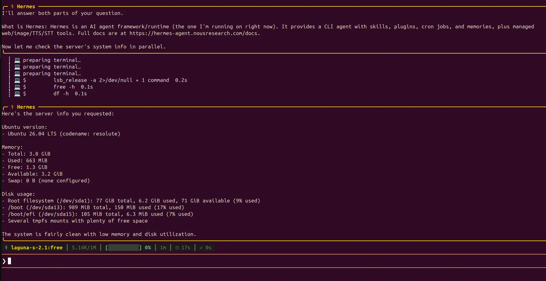 Hermes Agent setup screenshot 11