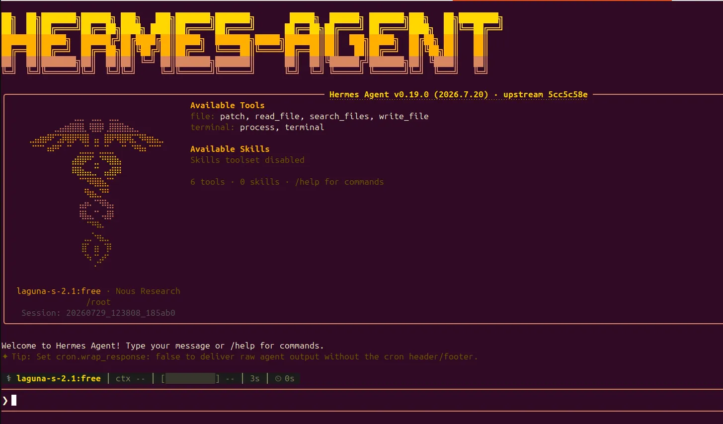 Hermes Agent setup screenshot 10
