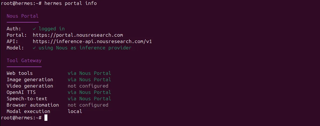 Hermes Agent setup screenshot 9