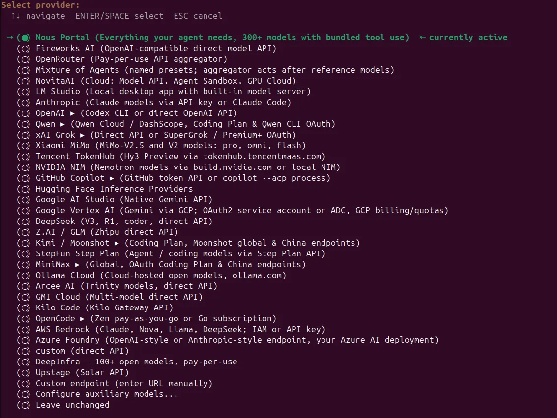 Hermes Agent setup screenshot 6