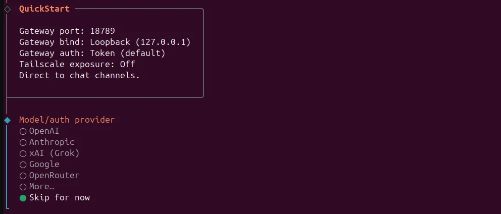 OpenClaw install screenshot 9