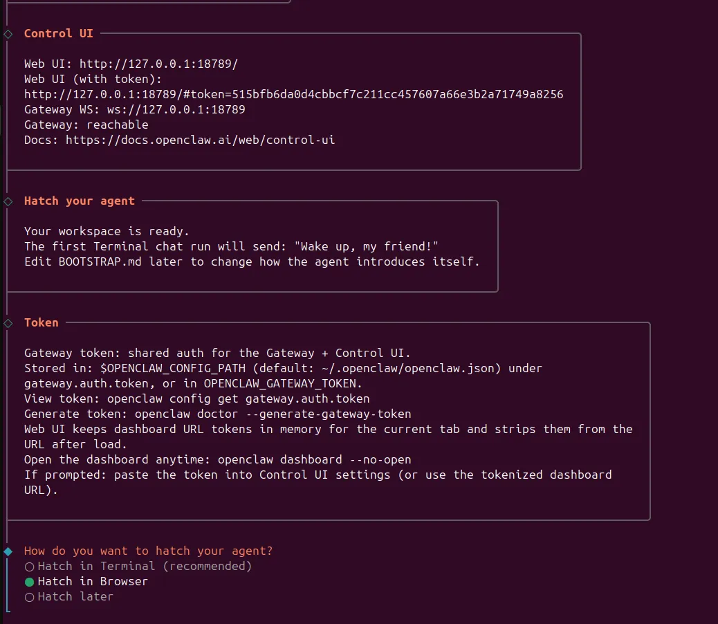 OpenClaw install screenshot 19