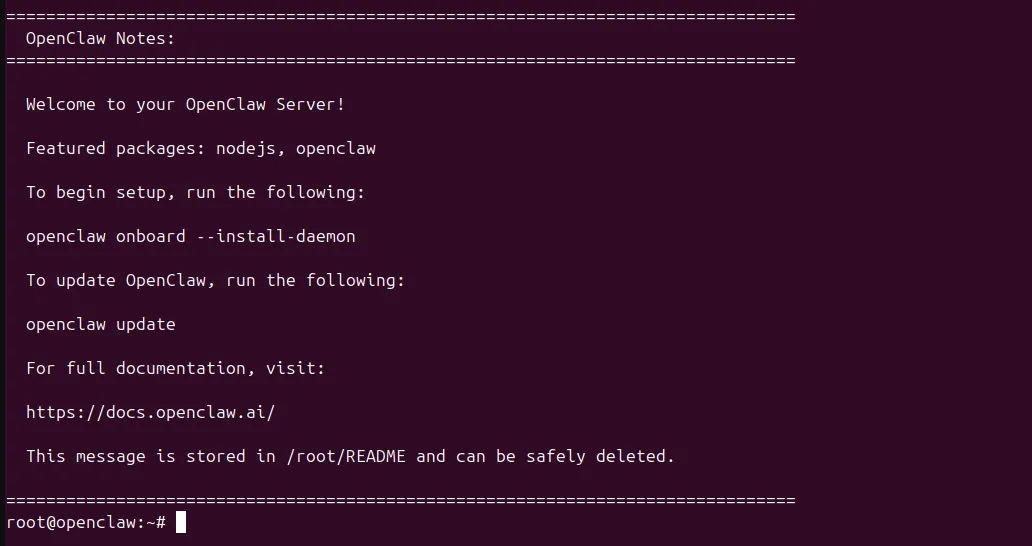 OpenClaw install screenshot 6