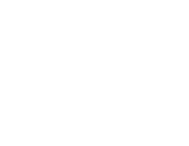 VPS Icon