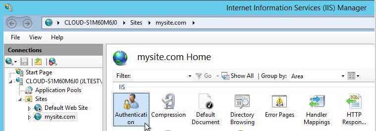 Select your websites domain name and select Authentication