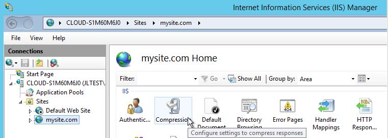 Under your website domain name, select compression