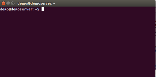 An example of what a shell prompt looks like.