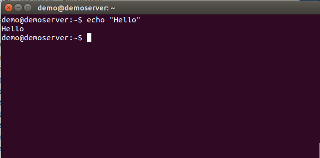 An example of what the command "echo" does.