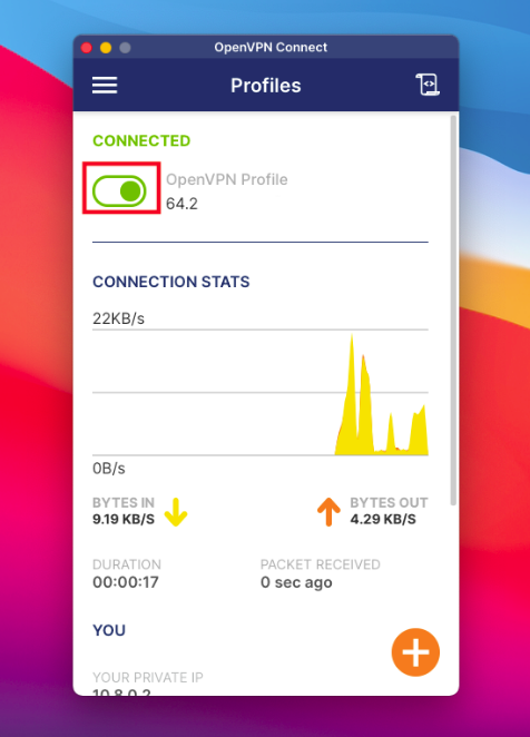 Disconnect OpenVPN