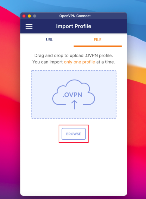 OpenVPN select profile