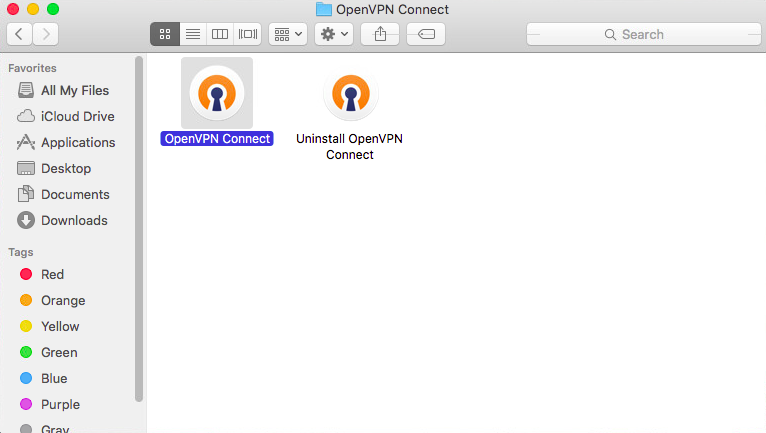 Launch OpenVPN client