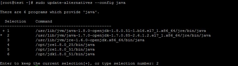 This is the output after running the Java Alternative script on CentOS 7