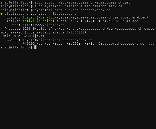 Elasticsearch service status