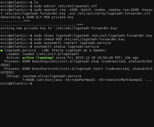 Logstash service status