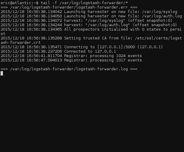 Logstash-Forwarder log files