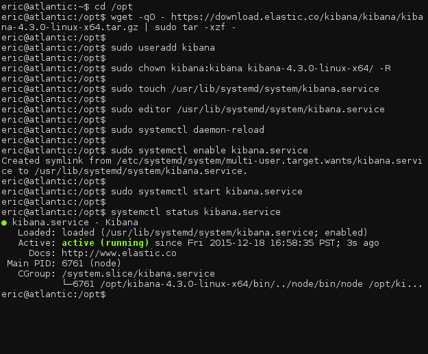Kibana service status