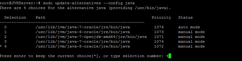 This is the output after running the Java Alternative script on Ubuntu 16.04
