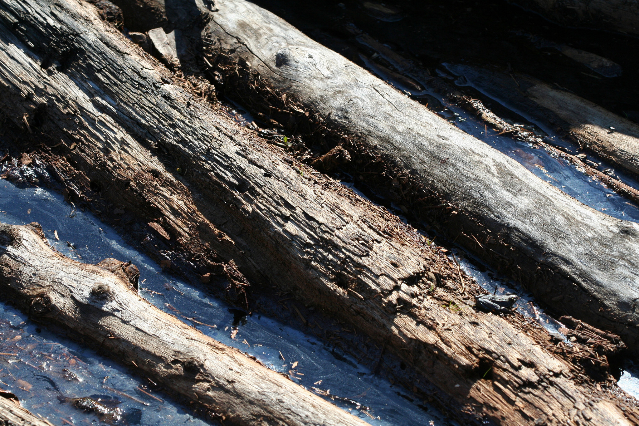 The Logjam Vulnerability