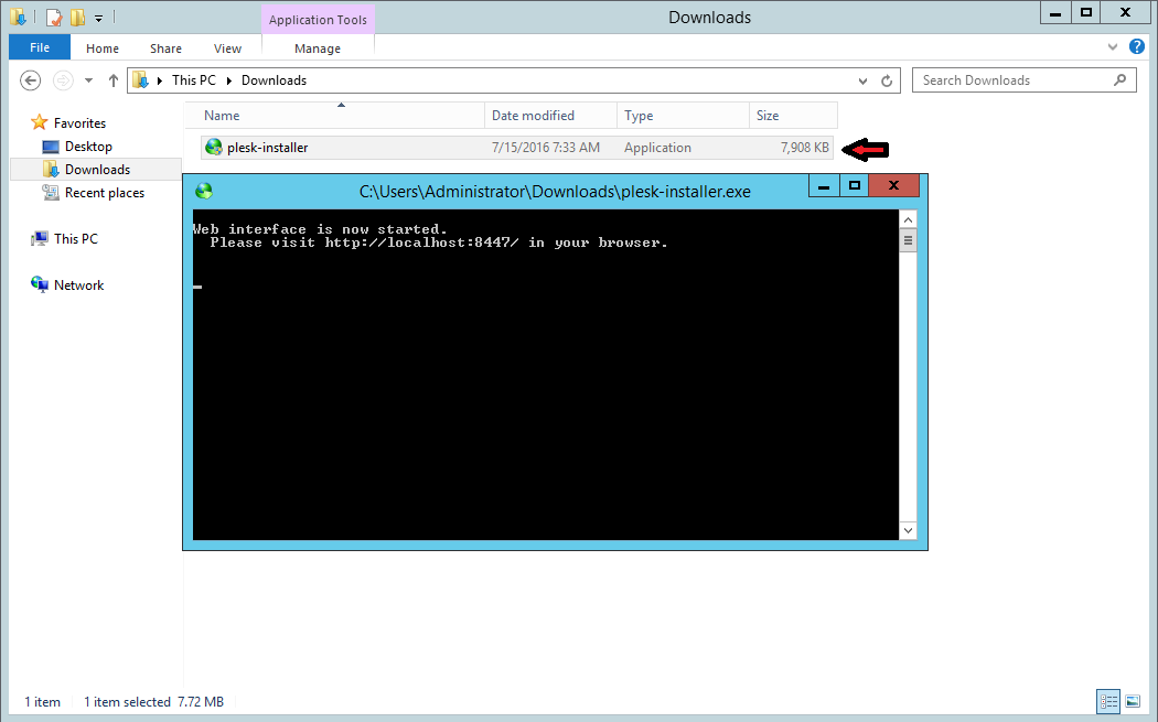 Installing Plesk on Windows