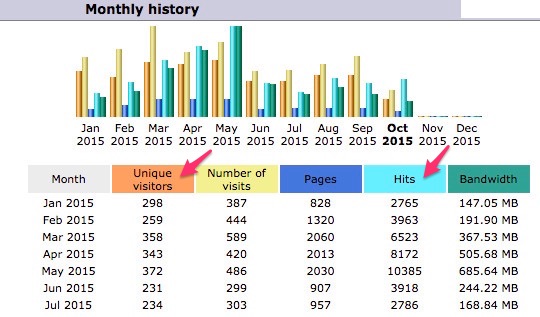 Web Analytics: A Beginner's Guide : Hits and Unique Visitors