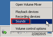 You can test this by right-clicking on the speaker icon in the bottom-right of your server's desktop and clicking Sounds.