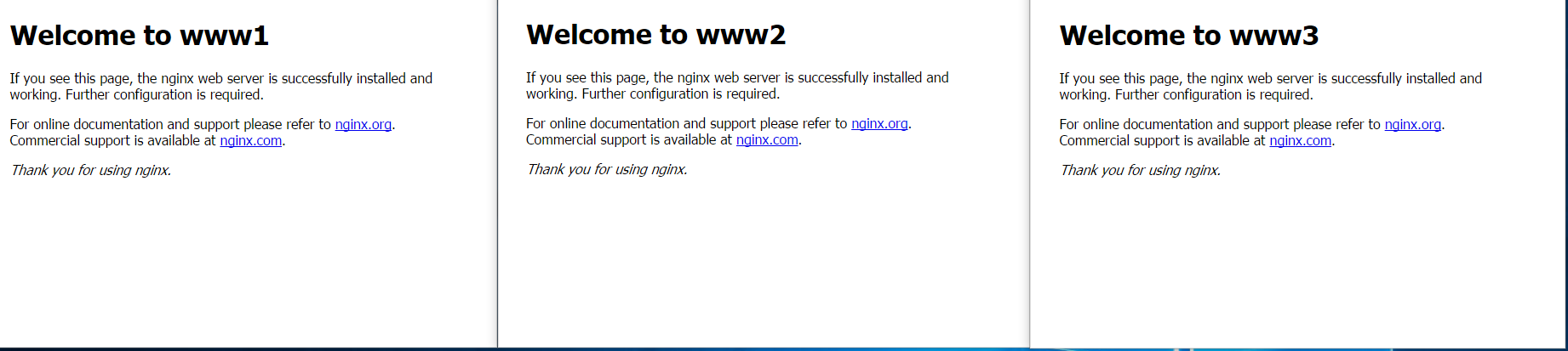 An example of my web servers: WWW1, WWW2 and WWW3