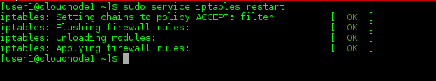 Sample Service iptables restart Output