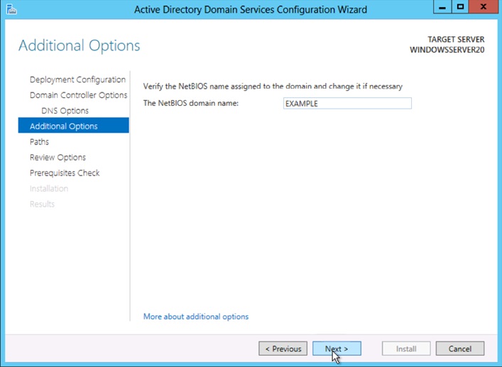 Under Additional Options create your NetBIOS domain name. This may be the same as your rood domain name.