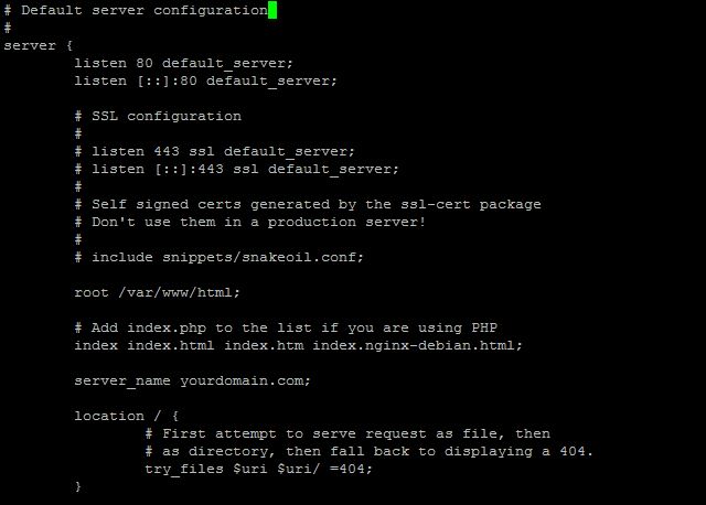 This is the configuration file after Nginx has been installed on a Debian 8 server