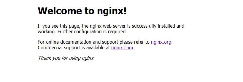 This is the test page created to verify Nginx was installed correctly in FreeBSD