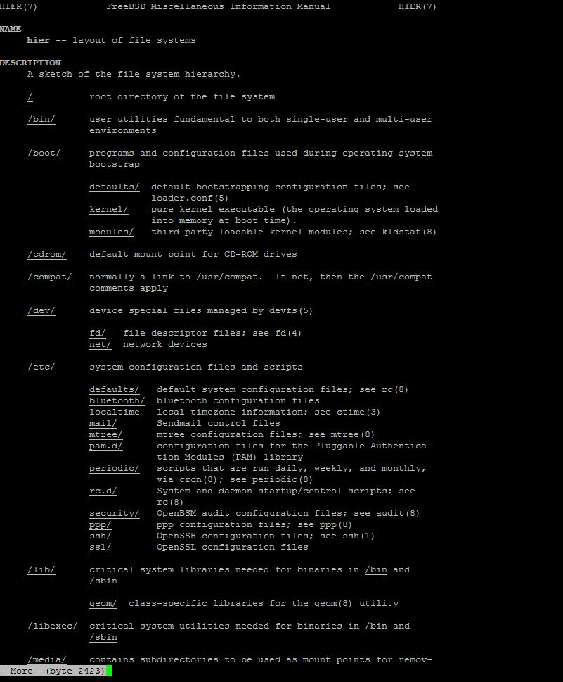 An example of the "man hier" command