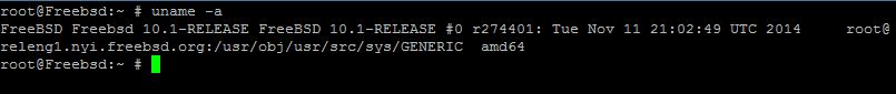 An example of the "uname -a" command