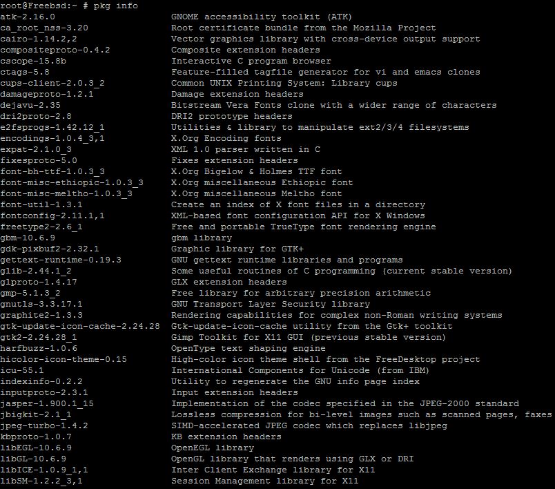 This is the default output of the pkg info command
