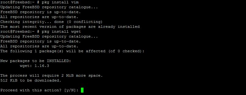 This is the default output of the pkg install command