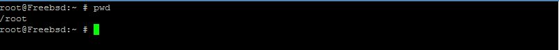 This is the default output of the pwd command in FreeBSD