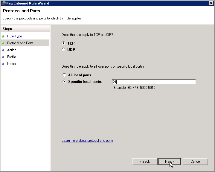 Use the TCP protocol and 21 for the Specific local ports