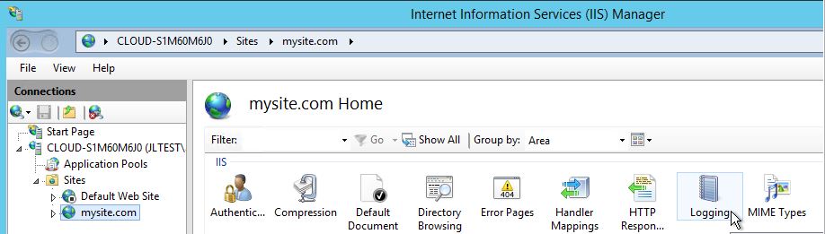 Select Logging in the IIS Manager page