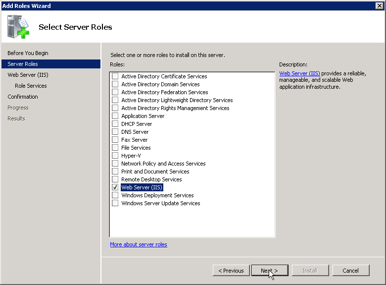 Select Web Server (IIS)