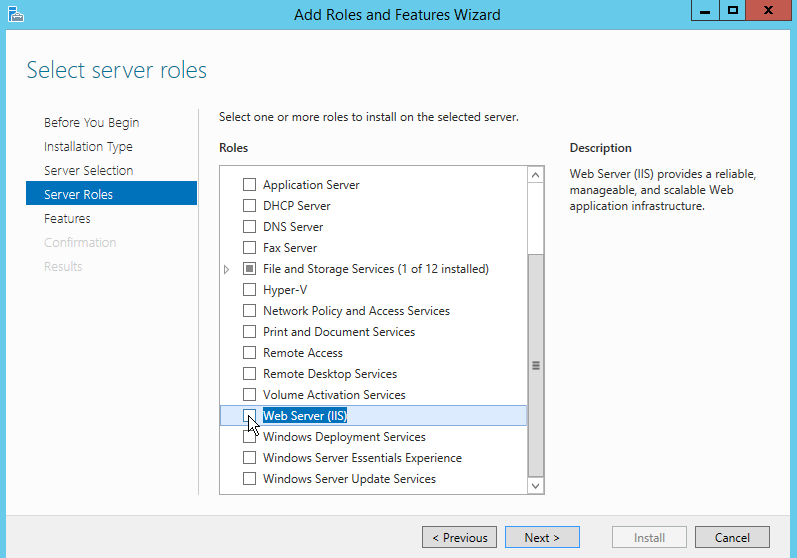 Select Web Server(IIS)