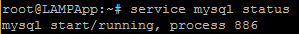 MySQL status