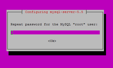 Re-enter the password you set before