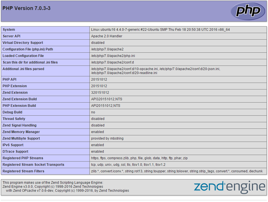 The result of the php.info file you made.